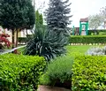 Снимка 4 — Едностаен апартамент в Бургас, с. Равда