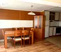 Снимка 5 — Голям 2-стаен апартамент с гледка към Витоша в Банишора