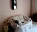 Снимка 4 — Тристаен апартамент в Център София с функционално разпределение