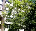 Снимка 2 — Едностаен апартамент в Гоце Делчев с южно изложение