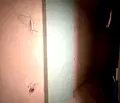 Снимка 4 — 1-стаен апартамент в Кръстова вада с паркомясто