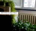 Снимка 3 — Просторен 3-стаен апартамент в Сухата река с две тераси