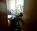 Снимка 5 — 3-стаен апартамент в Света Троица с асансьор в София
