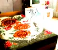 Снимка 2 — Двустаен апартамент с балкон в ж.к. Свобода, София