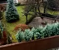 Снимка 2 — Двустаен апартамент с три тераси в Западен парк, София