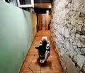 Снимка 3 — Тристаен апартамент с две нива в Лятно кино Тракия, Варна