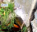Снимка 5 — Парцел във Варна, Аксаково