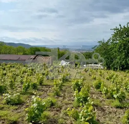 Photo 5 — Plot in Oblast Varna, Aksakovo