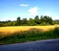 Снимка 4 — Парцел в Ловеч, Априлци
