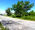 Снимка 3 — Парцел в Пловдив, Асенов