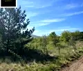 Снимка 5 — Парцел в Банкя