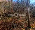 Снимка 4 — Парцел в Банкя
