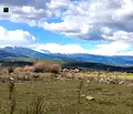 Снимка 5 — Парцел в Благоевград, Банско
