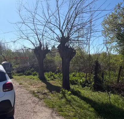 Photo 3 — Plot in Oblast Vidin, Bregovo