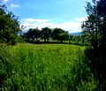 Снимка 2 — Парцел в Перник, Брезник