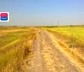 Снимка 2 — Парцел в Бургас, Рудник