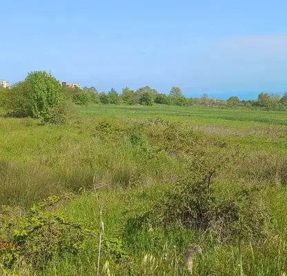 Photo 2 — Plot in Oblast Varna, Byala