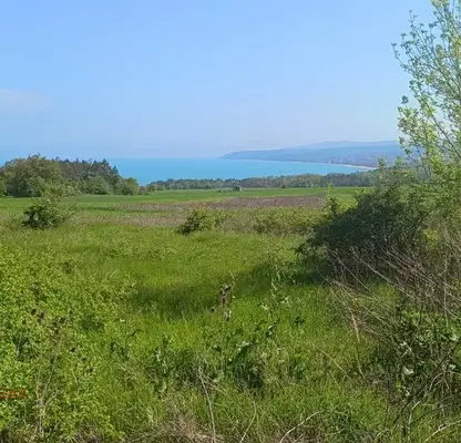 Photo 3 — Plot in Oblast Varna, Byala