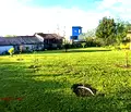 Снимка 4 — Парцел в Бургас, Царево