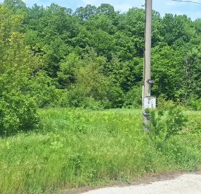Photo 5 — Plot in Oblast Veliko Tyrnovo, Elena