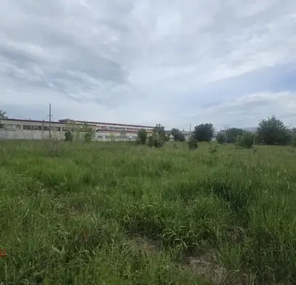 Photo 2 — Plot in област София, Elin Pelin