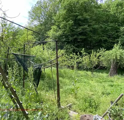 Photo 3 — Plot in Gabrovo, Chehlevci