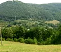Снимка 5 — Парцел в Габрово, Търсиите