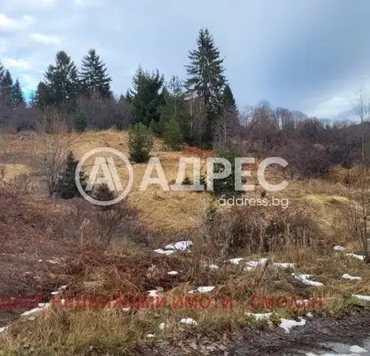Photo 5 — Plot in Oblast Smolyan, Pamporovo