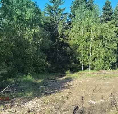 Photo 3 — Plot in област София, Kostinbrod