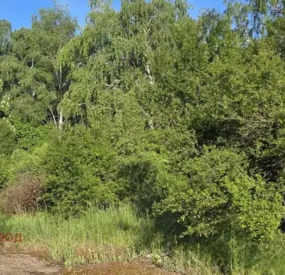 Photo 4 — Plot in област София, Kostinbrod
