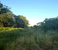Снимка 3 — Парцел в Пловдив, Куклен