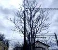 Снимка 2 — Парцел в Кърджали, Възрожденци