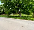 Снимка 3 — Парцел в Монтана, Лом