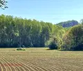 Снимка 3 — Парцел в Ловеч, Широк център