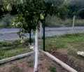 Снимка 4 — Парцел в Перник, Църква
