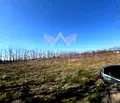Снимка 4 — Парцел в Пловдив, Беломорски