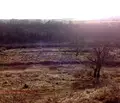Снимка 5 — Парцел в Русе, Чародейка - Юг