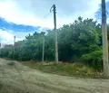 Снимка 2 — Парцел в Пазарджик, с. Аканджиево