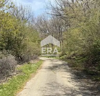 Снимка 2 — Парцел в Хасково, с. Ангел войвода