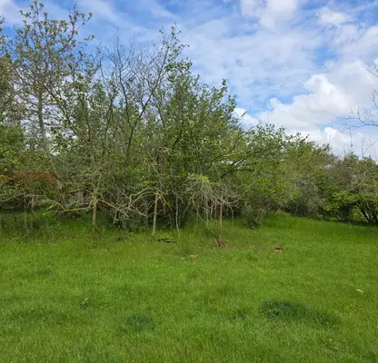 Photo 4 — Plot in Oblast Varna, Avren