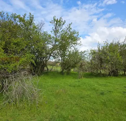 Photo 5 — Plot in Oblast Varna, Avren