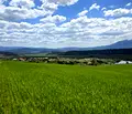 Снимка 5 — Парцел в Благоевград, с. Бачево
