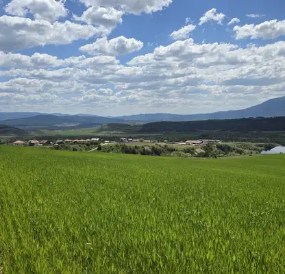 Photo 5 — Plot in Oblast Blagoevgrad, Bachevo