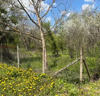 Photo 4 — Plot in Veliko Tyrnovo, s. Baevtsi