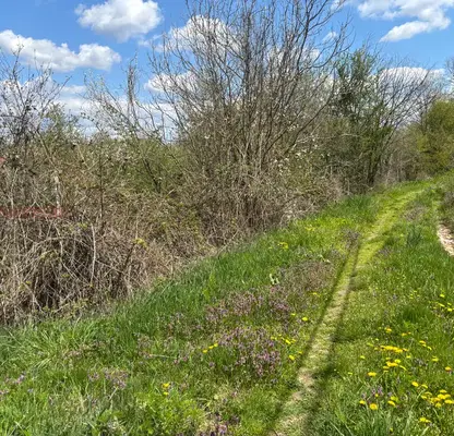 Photo 5 — Plot in Veliko Tyrnovo, s. Baevtsi