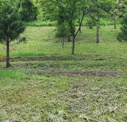 Photo 3 — Plot in област София, с. Бакьово