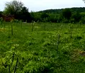 Снимка 2 — Парцел в Ловеч, с. Батулци