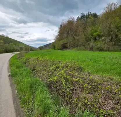 Photo 3 — Plot in Oblast Lovech, Beli Osym