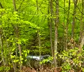 Снимка 4 — Парцел в Ловеч, с. Бели Осъм