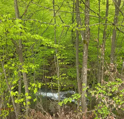 Photo 4 — Plot in Oblast Lovech, Beli Osym